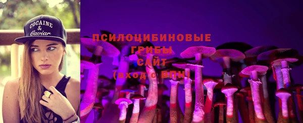 сатива Алексин