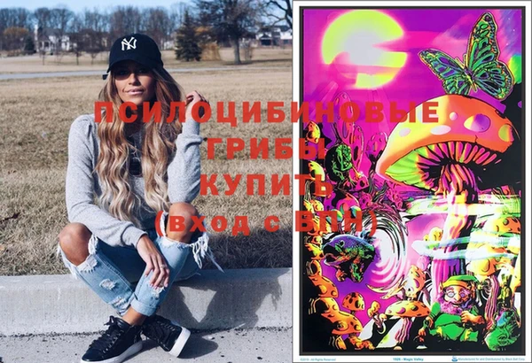 бошки Алзамай