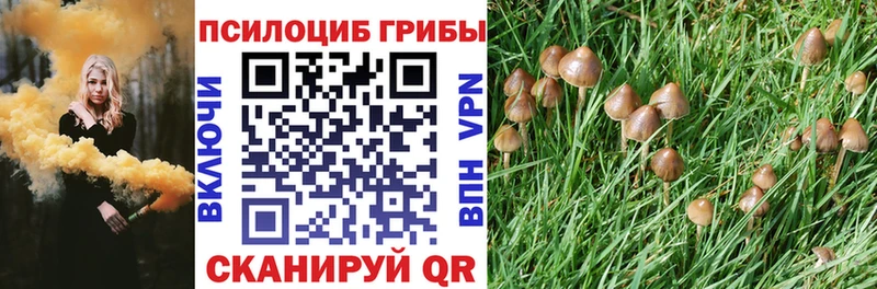 Галлюциногенные грибы GOLDEN TEACHER  Дорогобуж 